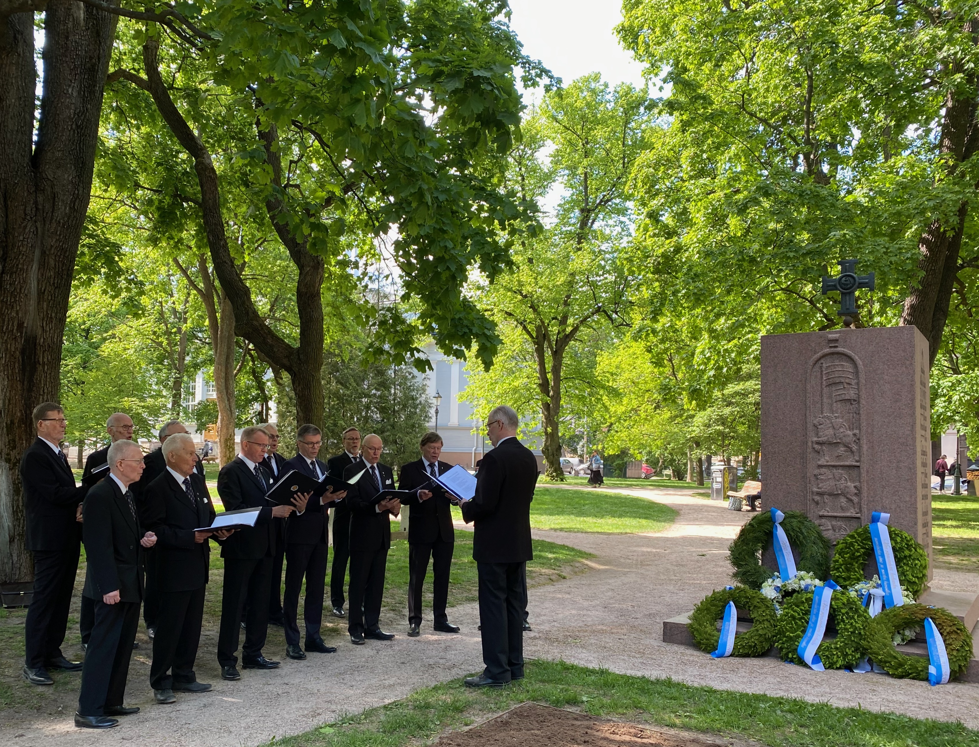 viron kav muist 100v